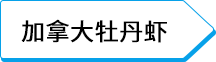 加拿大牡丹虾