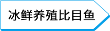 冰鲜养殖比目鱼